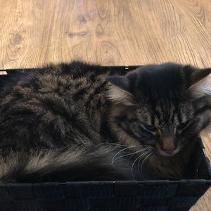 Meet your Posher, Colin